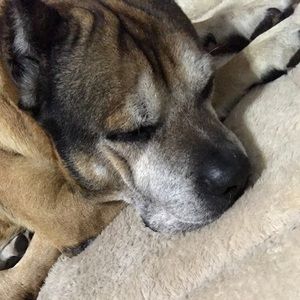 Meet your Posher, Nathan